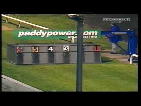 Irish Greyhound Derby 2000