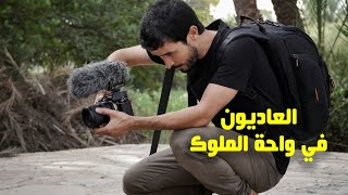 واحة الملوك| كواليس تصوير | Behind the scenes Laadiyoune by Laadiyoun - العاديون 44,804 views 1 year ago 5 minutes, 47 seconds