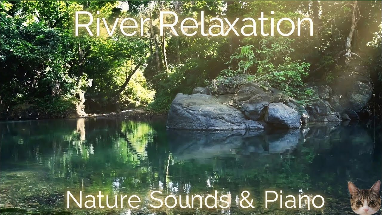 Relaxing River Sounds - Peaceful forest River | Relaxing Piano 