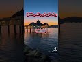 وجئت الى طبيب الحب  حالتي