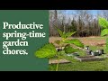 Zone 5 Garden Chores in April | Homestead Vlog