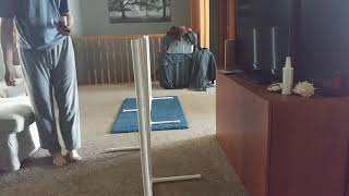 20190525 Merlin 6 weave poles