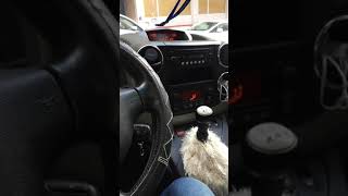 peugeot partner tepee cam kapanma sorunu kalibrasyon youtube