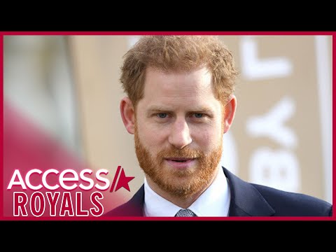 Prince Harry Worries About Protecting Kids Archie & Lili From 'Online Harm'
