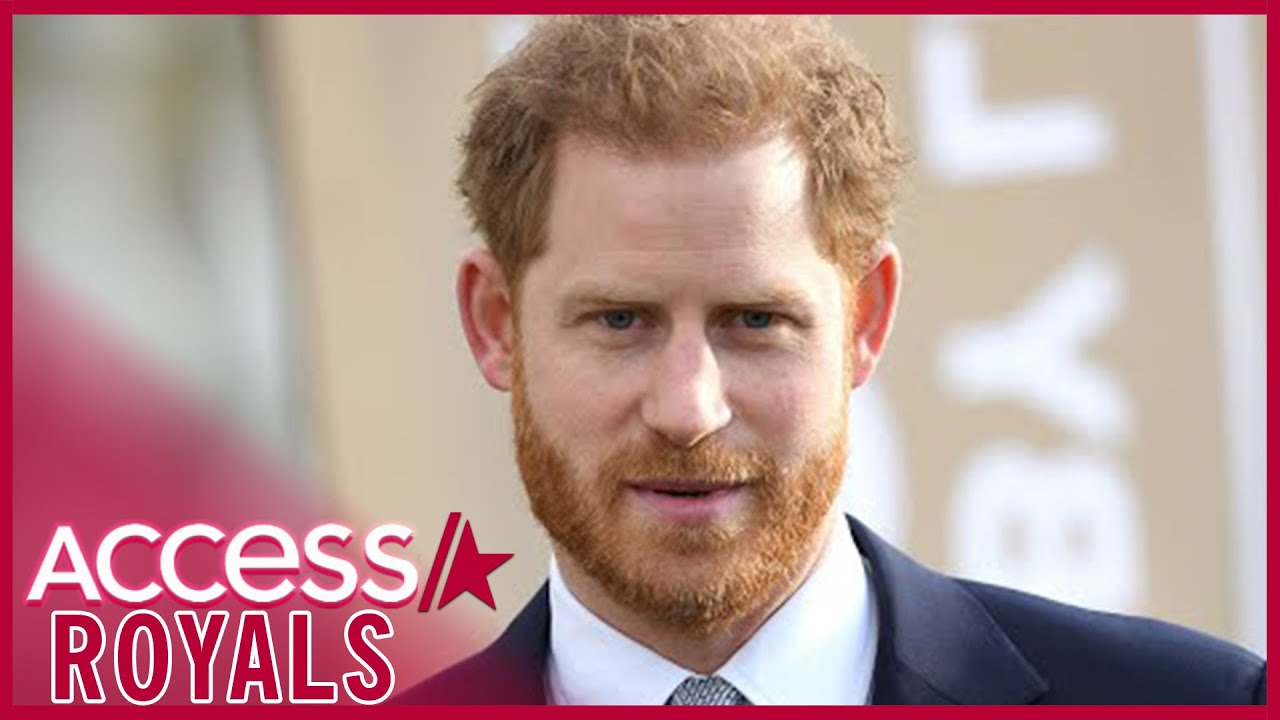 Принц Гарри беспокоится о защите детей Арчи и Лили от «вреда в Интернете»