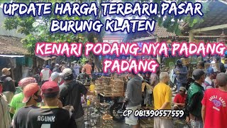 UPDAET HARGA ANIS MERAH MH , ANIS MERAH MACETAN , ANIS MERAH ANAKAN MANDIRI