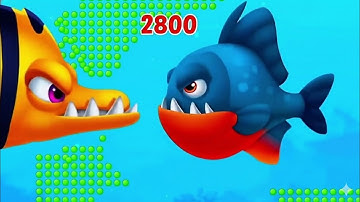 “FishDoom Mini Game  2.5 The Real Fish Escape Everyone Saw in Ads!” NFT Fishdom
