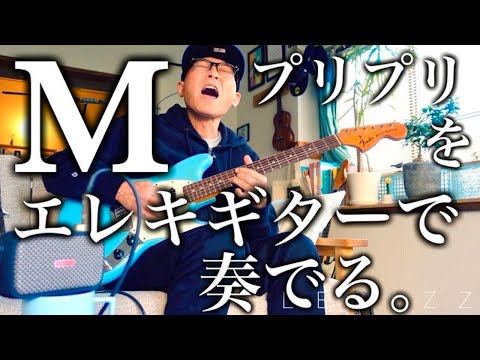 Pincess Princess プリンセス プリンセス ギターピック Pincess Princess プリンセス プリンセス ギターピック Pincess