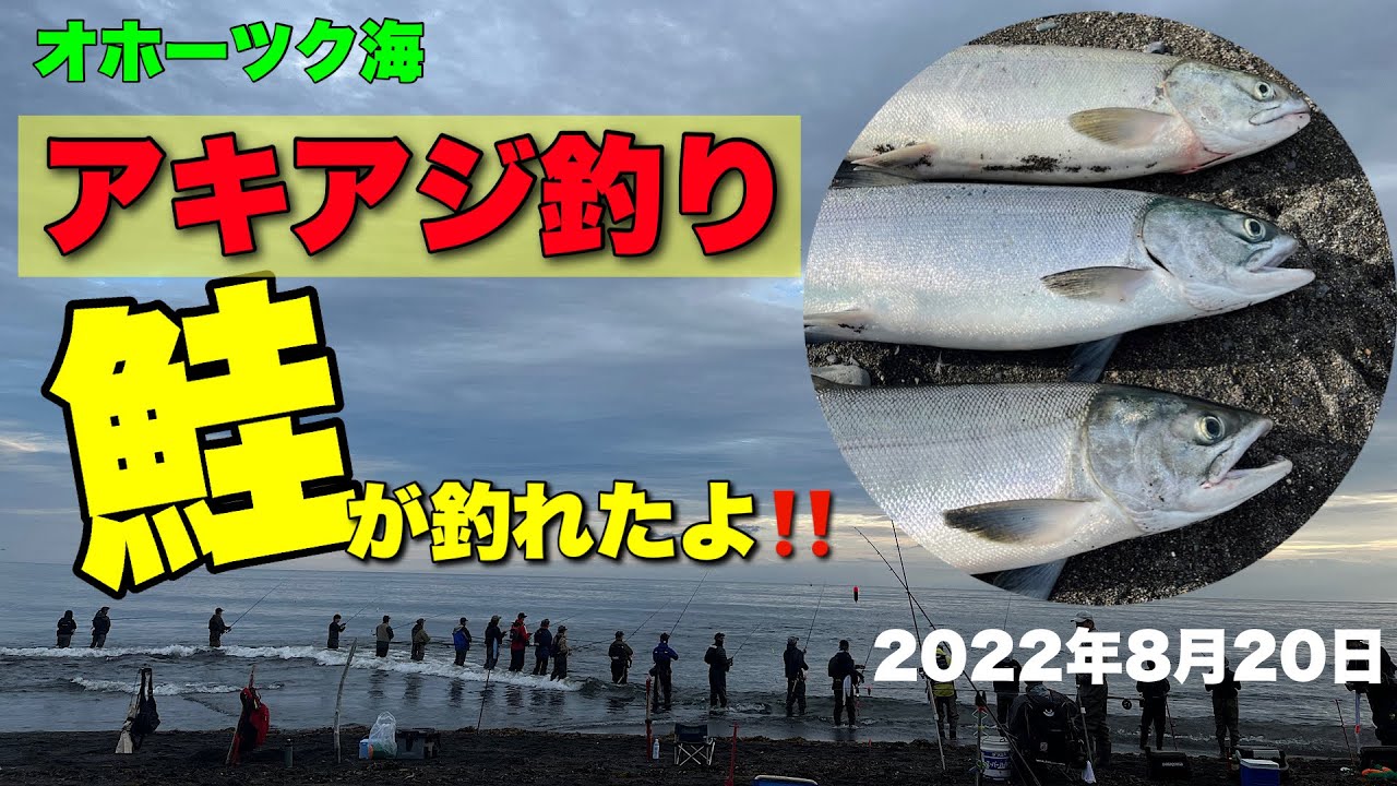 鮭釣り 22年 アキアジ釣り 第2弾 大満足の釣果 銀ピカな鮭に感謝 Youtube