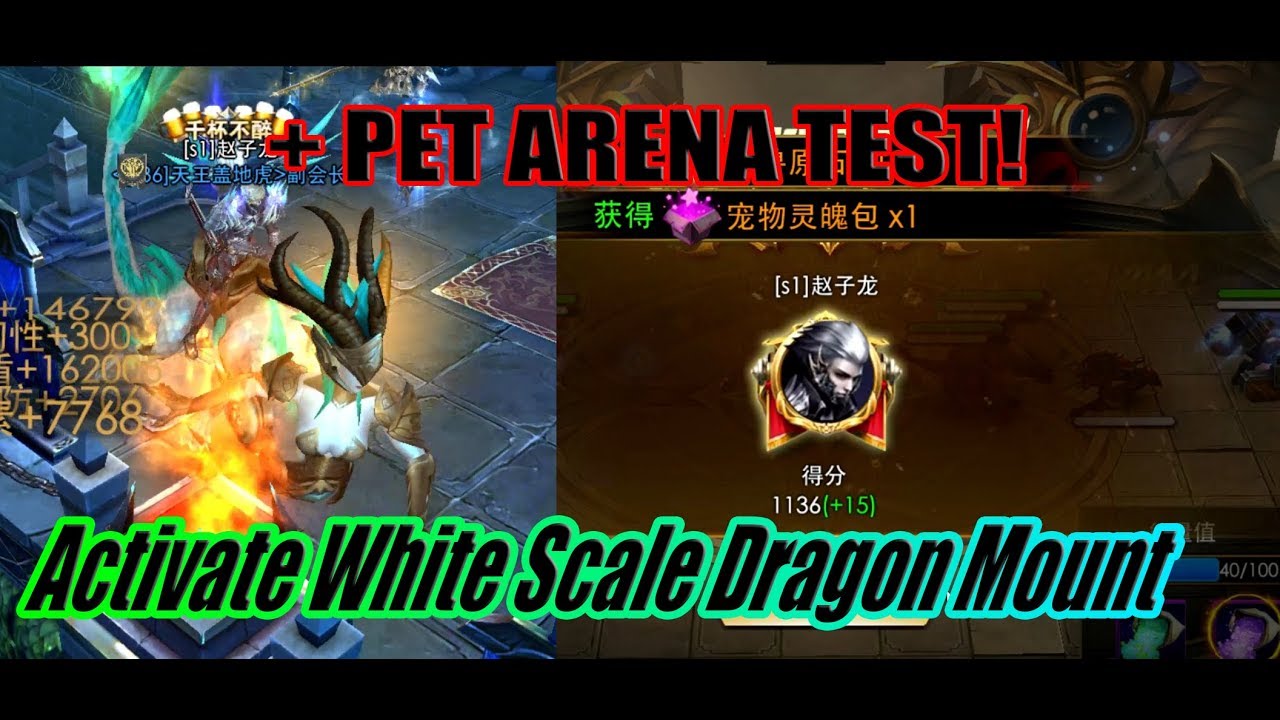 Legacy of Discord - Activate White Scale Dragon Mount & Pet Arena + Debut