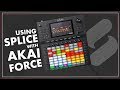 Use Splice with the Akai Force!