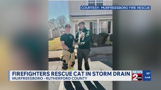 Murfreesboro firefighters rescue cat in storm drain