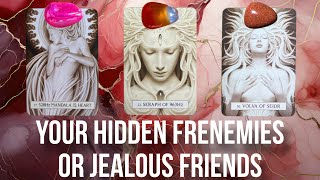 Exposing your frenemies & their hidden intentions - Members Pick a Card Tarot Reading