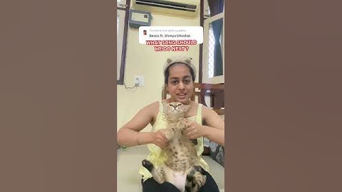 BESOS… #shreyaghoshal #trending #viralvideo #catdance #viralcats #cat #shorts #fypシ゚viral #bollywood