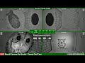 LIVE 🦉Tawny Owl Camera De Mortel (Bosuil Camera) indoor night stream