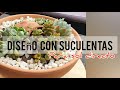 CREANDO DISEÑO CON SUCULENTAS PARA PLENO SOL, ¿Cuál elegir?/ Jardín Suculento