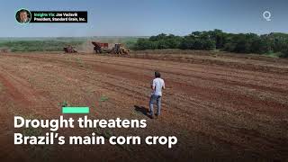 Drought Threatens Brazil’s Major Corn Crop