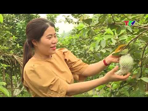 TỪ ĐẠI HỘI ĐẢNG CƠ SỞ ĐẾN MỤC TIÊU XÂY DỰNG NÔNG THÔN MỚI