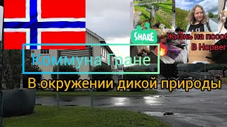 :   .     