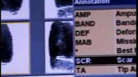 Relying on Computers for Fingerprints Is a Problem