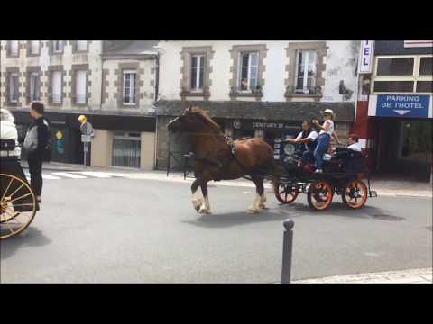 Balade en calèche