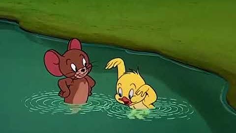 Người thành công luôn có lối đi riêng 😏