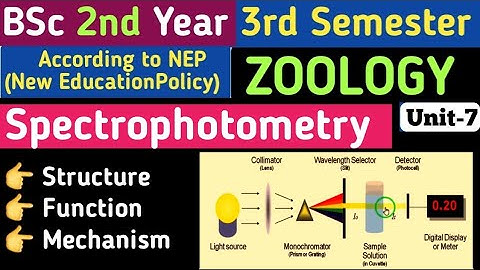 BSc 2nd Semester Zoology//Spectrophotometry for BSc//Spectrophotometer//Spectrophotometry in Hindi