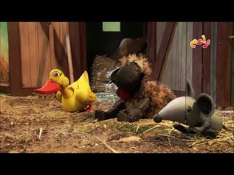 حكايات العم مصلح الدجاجة والقمح