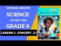 Grade 6 Lesson 2 Concept 3 1 Second Term 2026 الدرس الثانى ساينس سنة ستة الترم 2