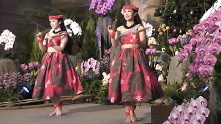 '16 ナニワレナハラ Nani Wale Na Hala フラガール フラダンス Hula Dance スパリゾートハワイアンズダンシングチーム Hula Girls オーキッドフラショー