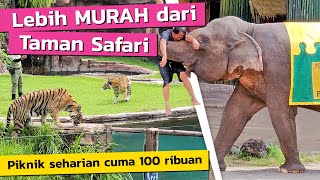 Wisata wajib kalo ke Bali ‼️ Bali Safari & Marine Park ❗️ Wisata bagus di Bali