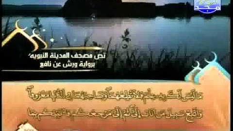 العيون الكوشي - سورة لقمان