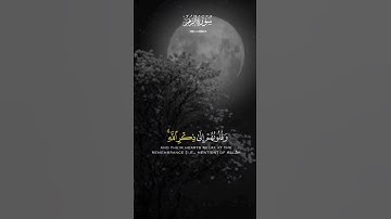 قران كريم بصوت الشيخ ماهر المعيقلي #quran #اكسبلور