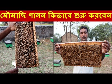 ভিডিও: কীভাবে মৌমাছি পালন শুরু করবেন