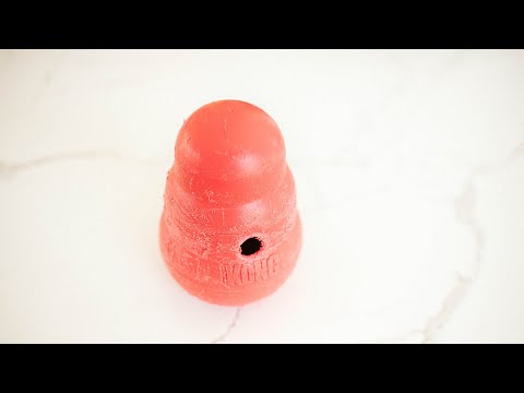 Using a Kong Wobbler | Aloha Positive Dog Training