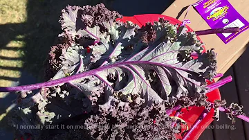 Is purple kale good for you?