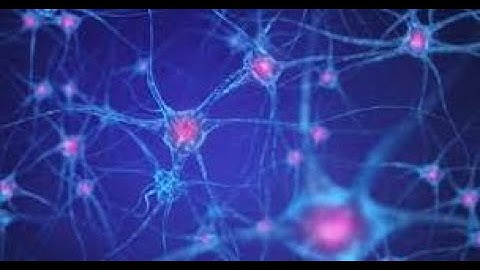 LEVEL 1. Ch 16. NEURONS CSIR UGC NET/SLET LIFESCIENCE/NEET BIOLOGY/ ALL STUDY MATERIAL IN PPT FORM