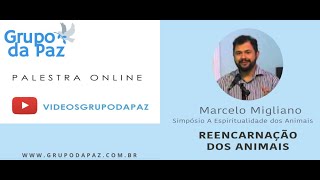 Simpósio A Espiritualidade dos Animais - Marcelo Migliano: A Reencarnação dos Animais