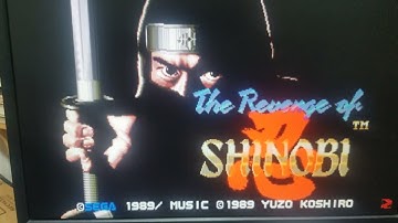 revenge of shinobi emulator on a pc