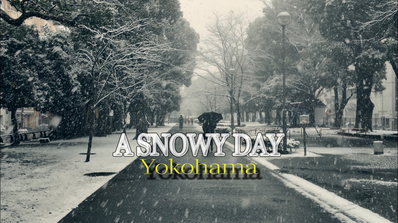 A SNOWY DAY ～雪降る横浜・日本庭園が美しく雪化粧～ 大通り公園／伊勢佐木町／関内／横浜公園...ほか