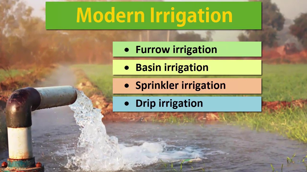 Modern Irrigation  Macmillan Education India 