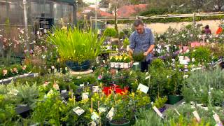 The Garden Gurus - Growing plants with similar watering needs