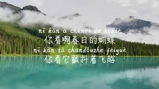 【冬眠-司南】DONG MIAN-SI NAN/ TIKTOK,抖音,틱톡/Pinyin Lyrics, 拼音歌词, 병음가사/No AD, 无广告, 광고없음