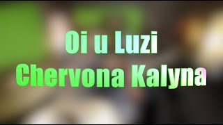 Oi u Luzi Chervona Kalyna Drum Cover by Daniel Jaginyan 1