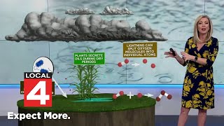 Can you smell when rain is coming Science says yes