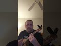 What's Up 4 Non Blondes Key Of G Ukulele Tutorial