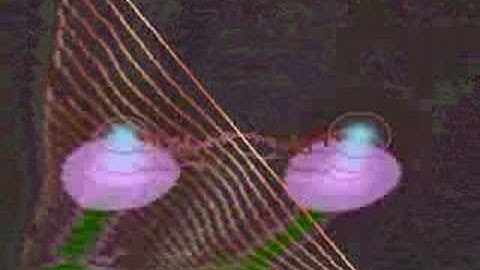 DDR - Dark Black Forest