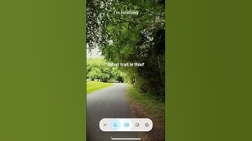 Exploring Neighborhoods with AI | Microsoft Copilot​