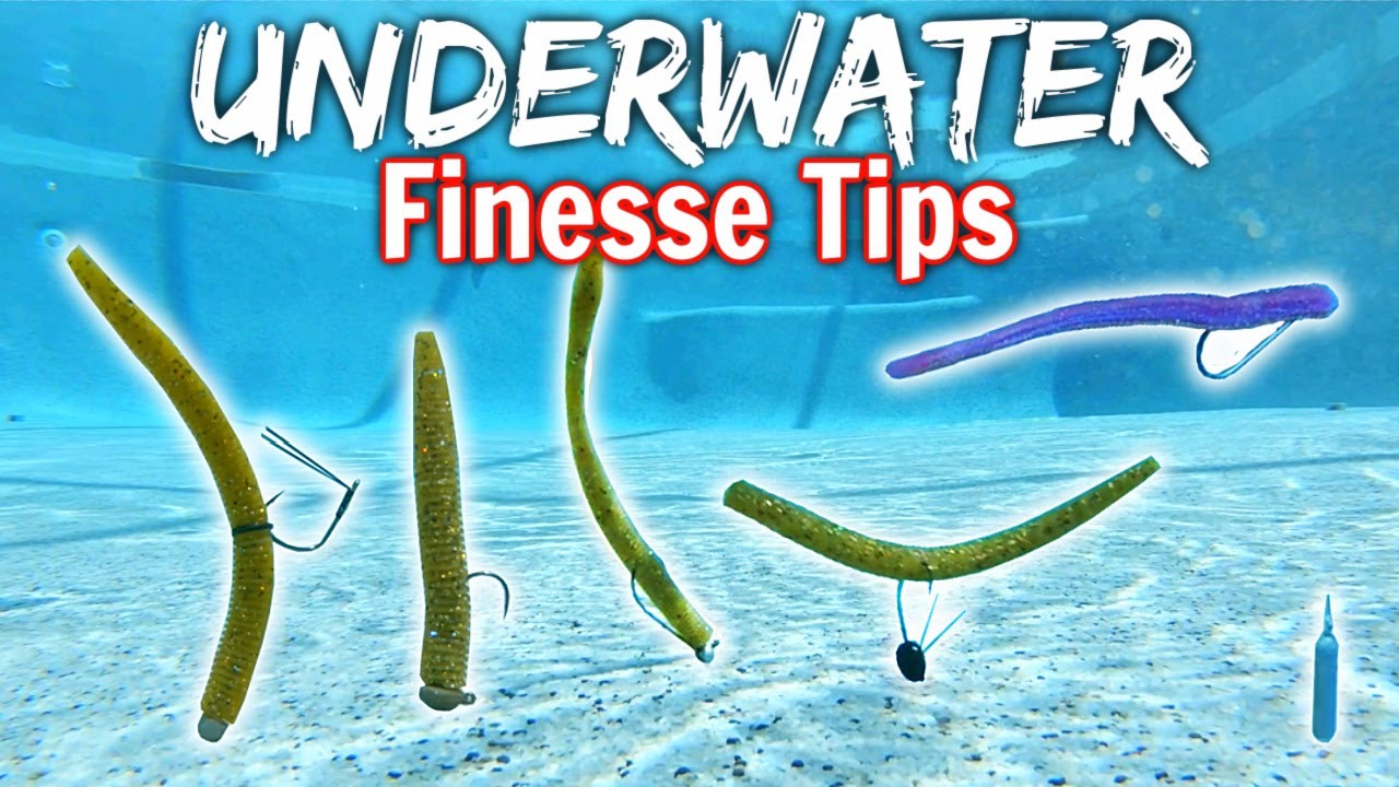 Catch 15x MORE BASS w/ These Top 5 Finesse Techniques! (Underwater  Action/Tips) 