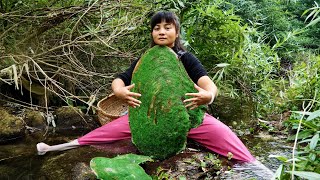 The girl opened a century old clam covered in moss and uncovered the mystery of an ancient treasure